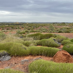 Castle Hill Rest Area