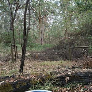 Boranup Campground