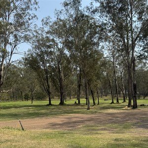 Widgee