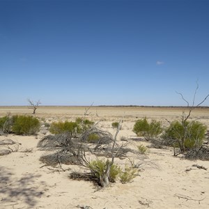 Lake Pinaroo east of camp