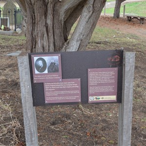 Historic Kingscote Cemetry 