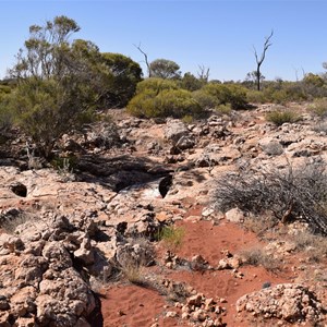 Wakulyakutjarra Rockhole