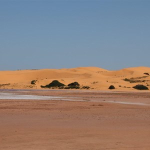 Camel Camp Tank Lake & Dunes