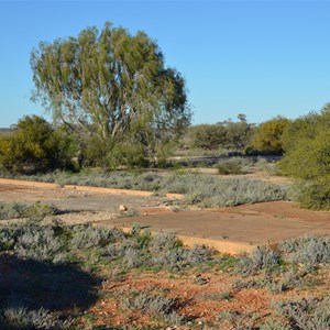 Kittens Testing Area