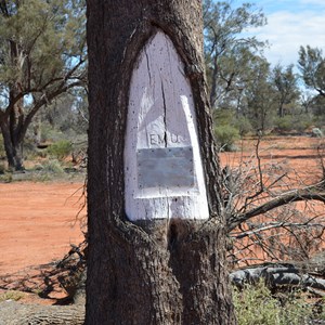 Len's Emu Blaze Tree