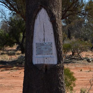 Len's Emu Blaze Tree