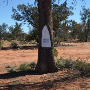 Len's Emu Blaze Tree