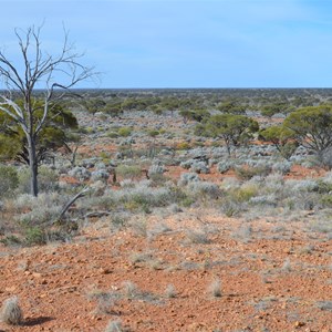 Observation Hill