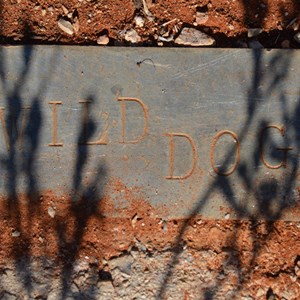 Wild Dog Trig Point