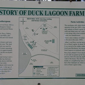 Duck Lagoon