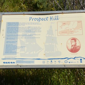 Prospect Hill