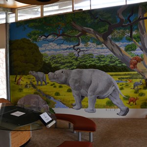 Flinders Chase Visitor Centre