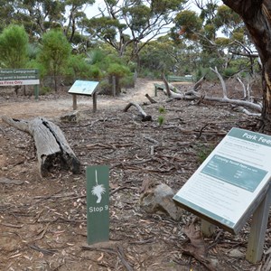 Harveys Return Campground