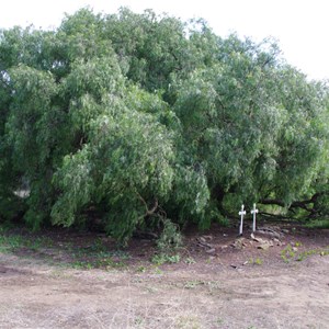 Antechamber Bay Historic Graves