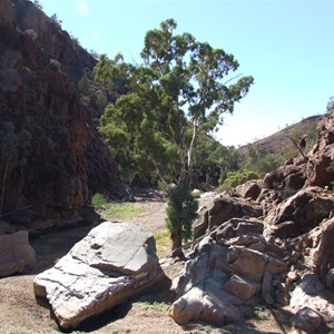 Nooldoonooldoona waterhole - Arkaroola SA