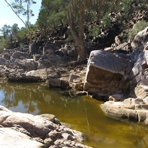 Bolla Bollana Spring