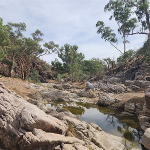 Bolla Bollana Spring