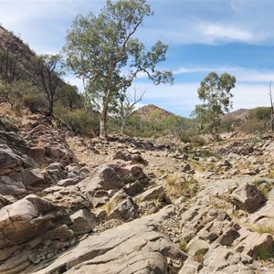 Bolla Bollana Spring