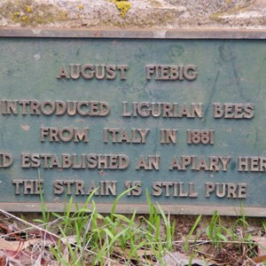 Ligurian Bee Sancturary