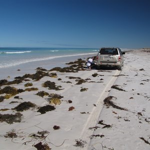 Beach view west at mid tide