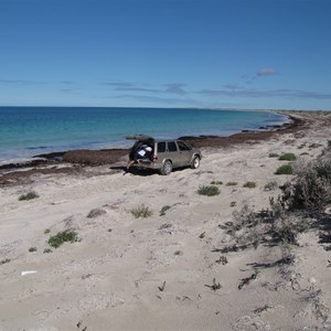 Rough riding on the weed beds