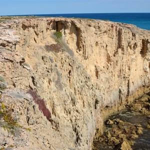 Dog Fence Beach Cliffs 