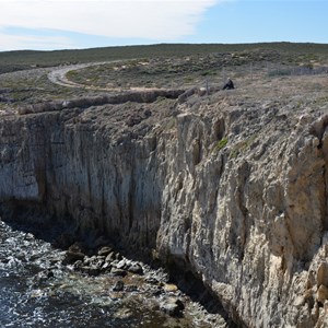 Dog Fence Beach Cliffs 