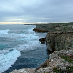 Dog Fence Beach Cliffs 