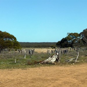 Ruins - Wahgunyah NP