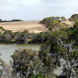 Young River View