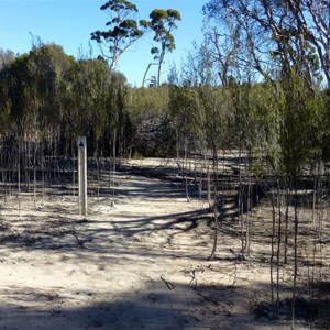 Lake Cronin NR