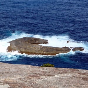 Bald Head - Flinders Peninsula