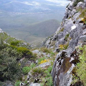 Mt Toolbrunup - Stirling Range NP - WA