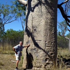 Frank Hann Blazed Boab.