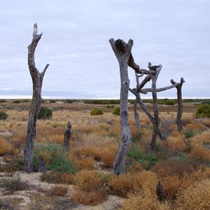 Killalpaninna Mission Ruins