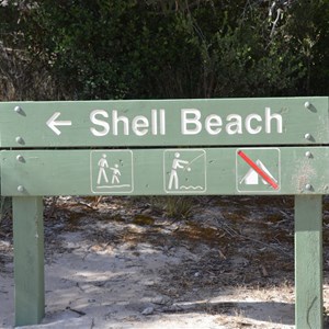 Shell Beach