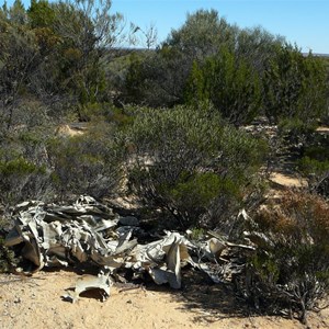 Vultee Air Crash Site