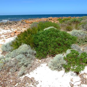 Rifle Butt Beach