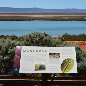 The Australian Arid Lands Botanic Gardens