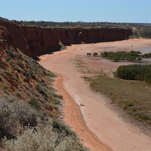 The Australian Arid Lands Botanic Gardens