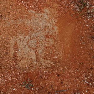 Date in cricket pitch concrete