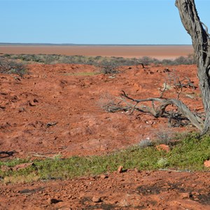 Tomato Rocks