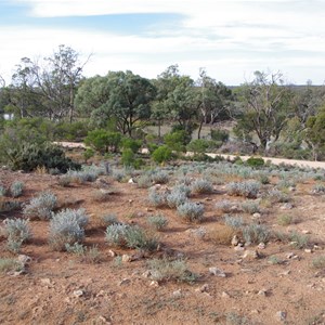 Cragg's Hut