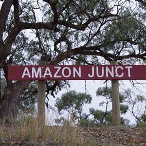 Amazon Junction 