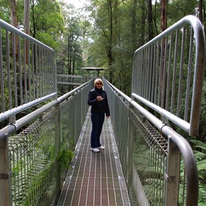 Otway Fly Treetop Adventures