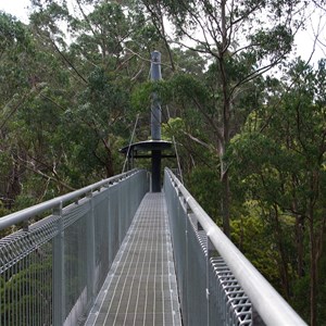 Otway Fly Treetop Adventures