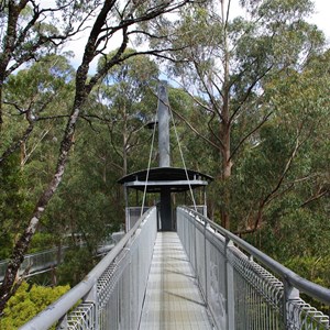 Otway Fly Treetop Adventures