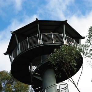 Otway Fly Treetop Adventures