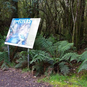 Otway Fly Treetop Adventures