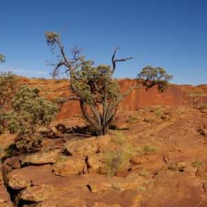 Cotterill's Lookout